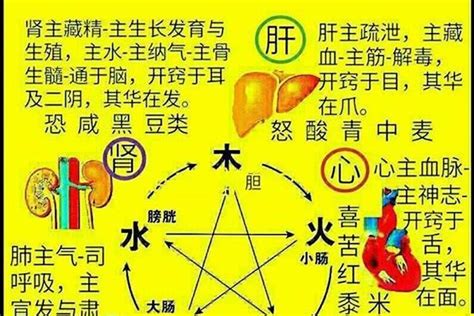 火屬性名字|五行属火最吉利的男孩名字280个